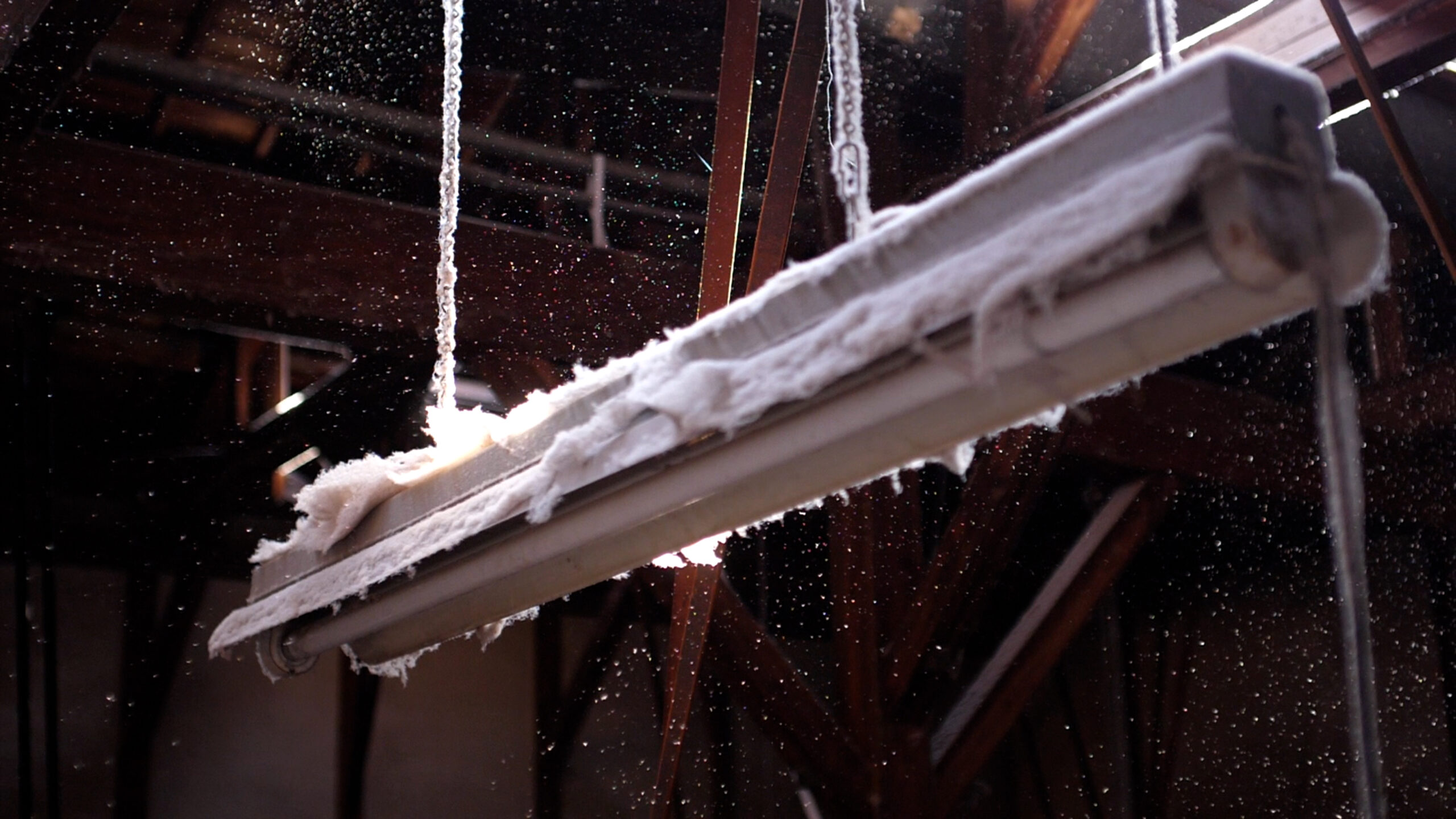 Han Ishu's artwork image