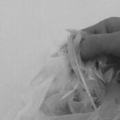 Han Ishu's artwork image