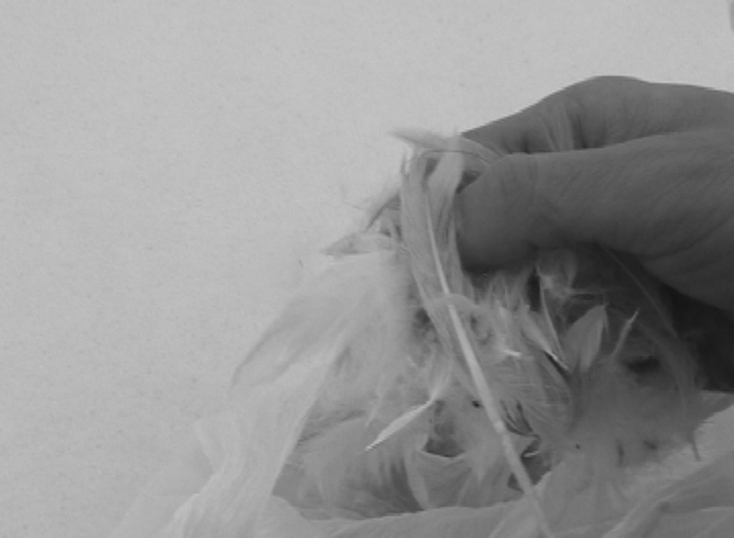 Han Ishu's artwork image