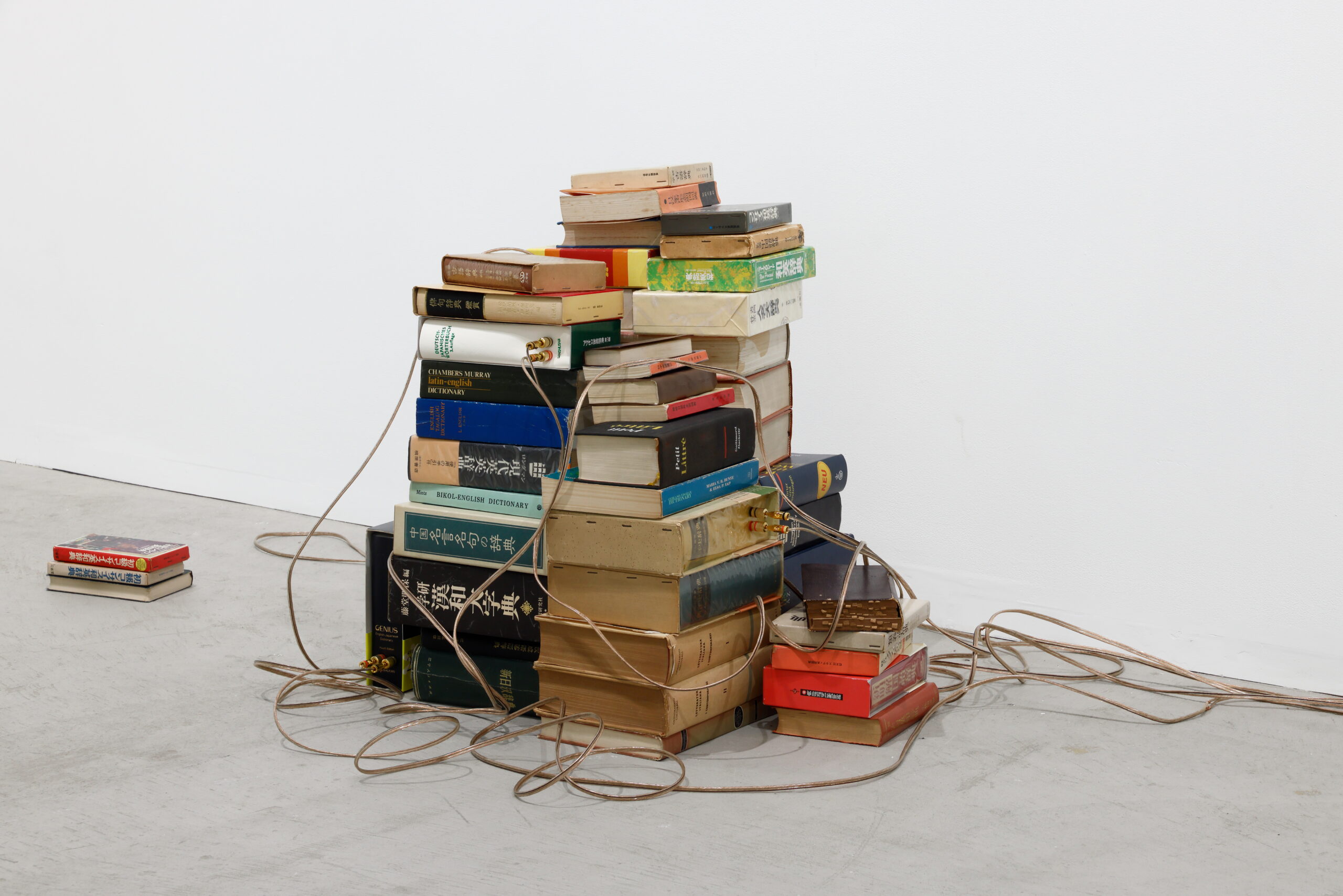 潘逸舟の作品画像